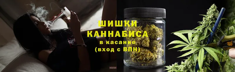 Конопля THC 21%  Нефтекумск 